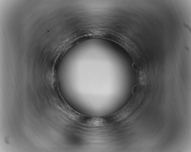 X0000100400514200806131016