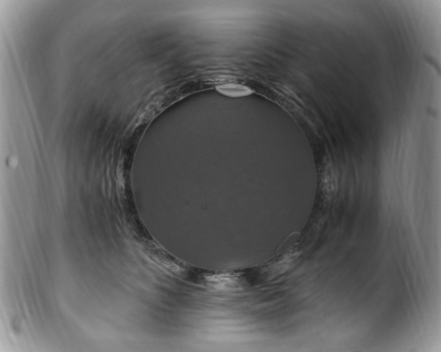 X0000100400516200806131016