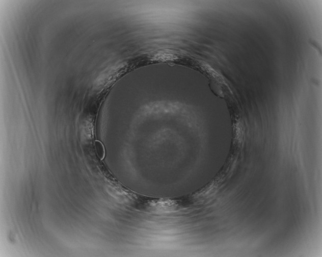 X0000100400517200806131016