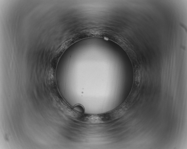 X0000100400518200806131016