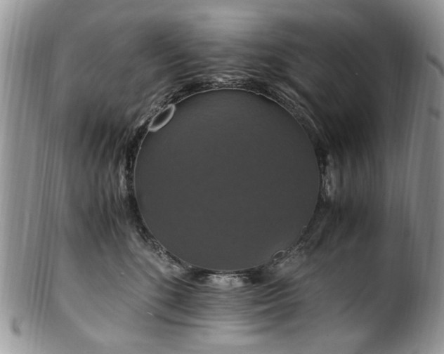 X0000100400520200806131016