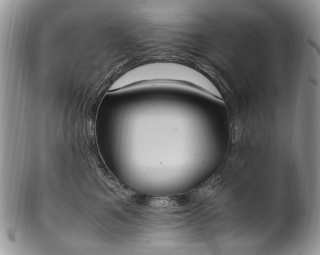 X0000100400521200806131016