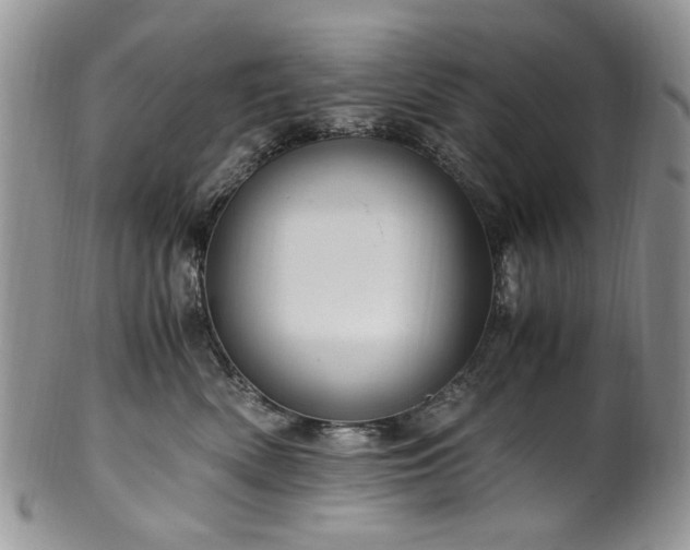 X0000100400522200806131016