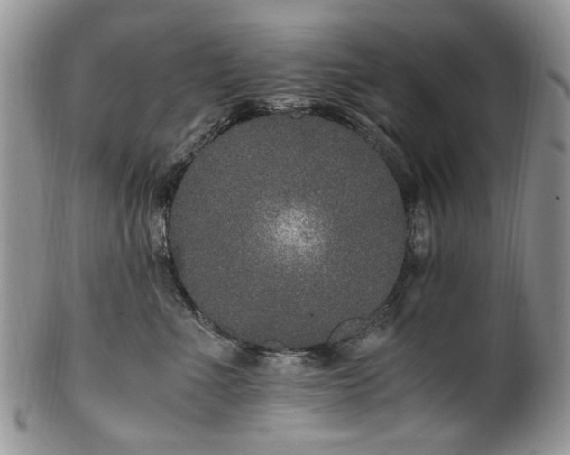 X0000100400523200806131016