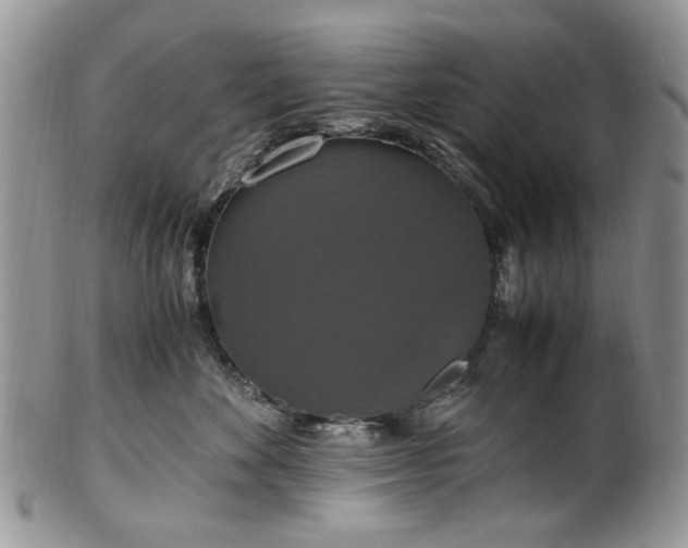 X0000100400524200806131016