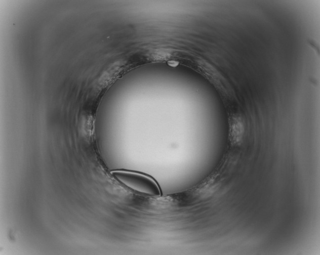 X0000100400525200806131016