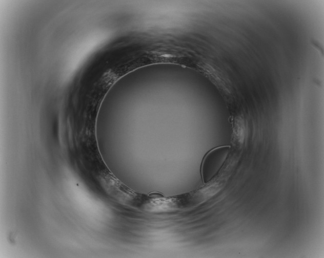 X0000100400526200806131016