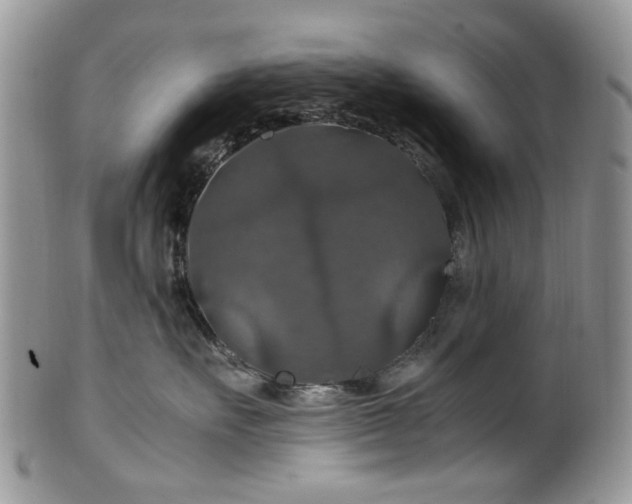 X0000100400527200806131016