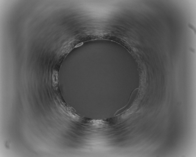 X0000100400528200806131016