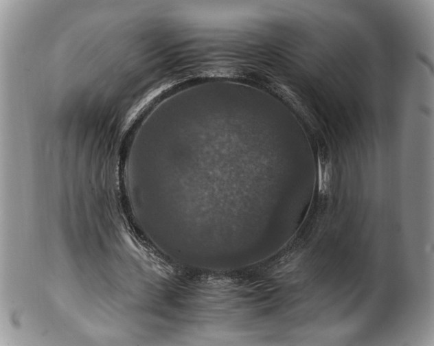 X0000100400531200806131015