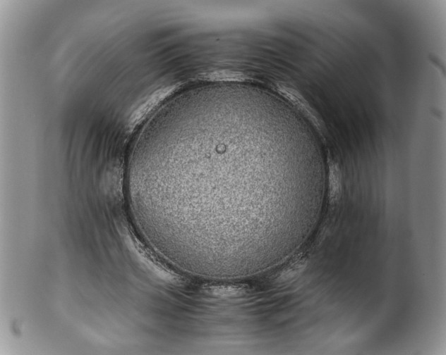 X0000100400533200806131015