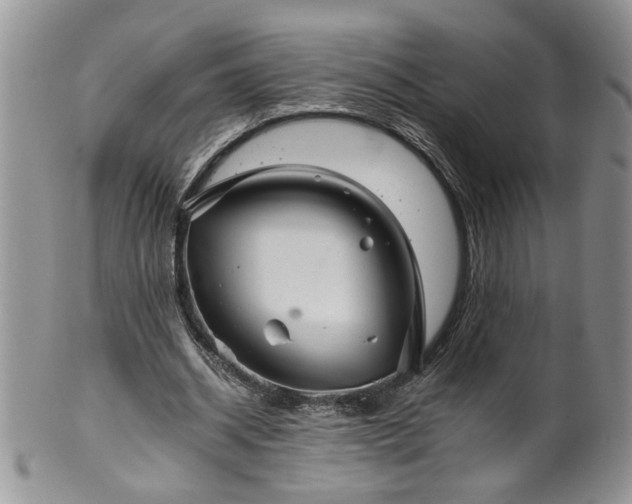 X0000100400534200806131015