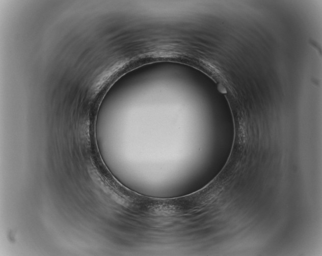 X0000100400535200806131015