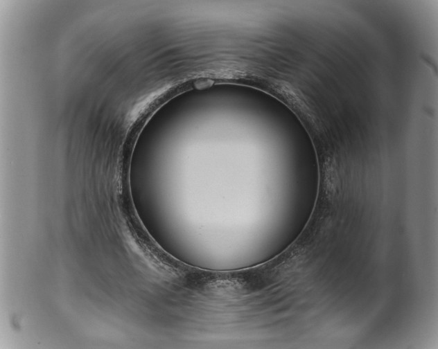X0000100400536200806131015