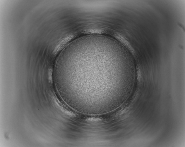 X0000100400537200806131015