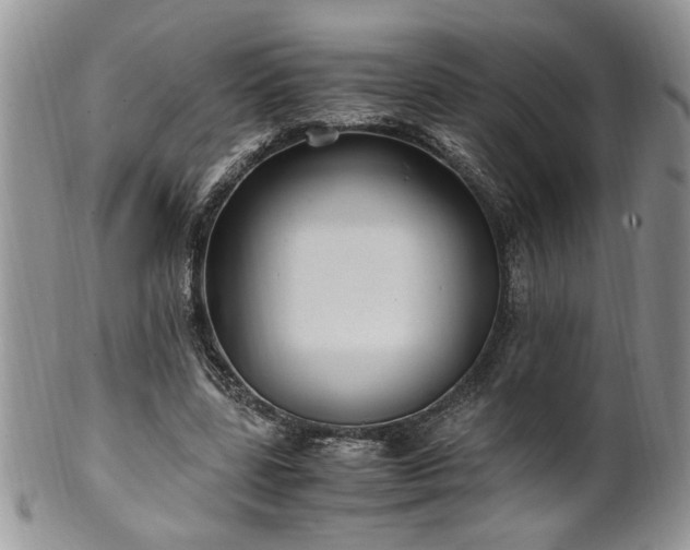X0000100400539200806131016