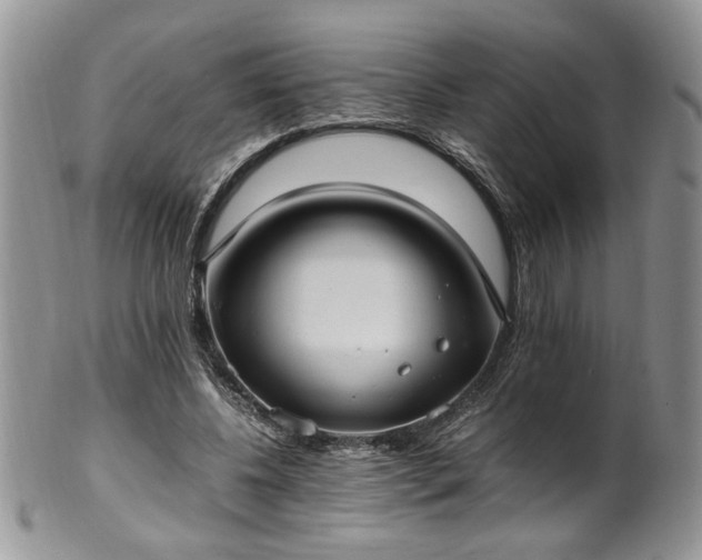 X0000100400540200806131016