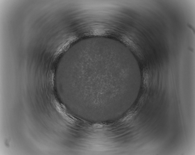 X0000100400542200806131016
