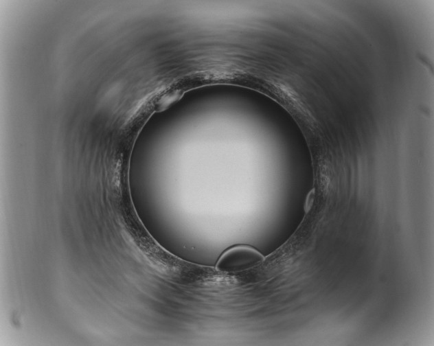 X0000100400543200806131016