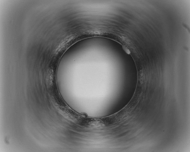 X0000100400544200806131016