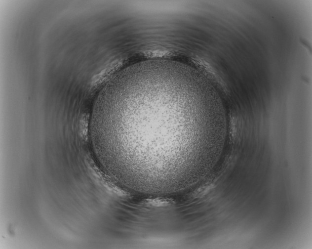 X0000100400545200806131016