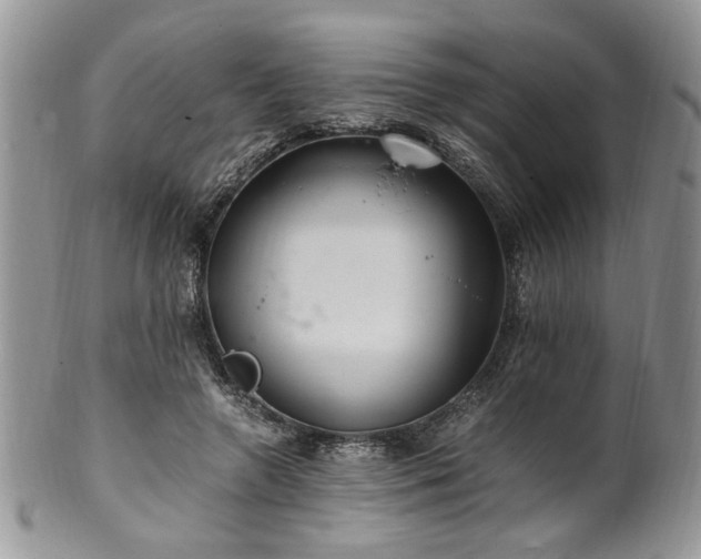 X0000100400546200806131016