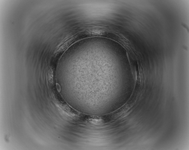 X0000100400552200806131016