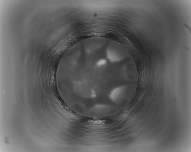 X0000100400553200806131016