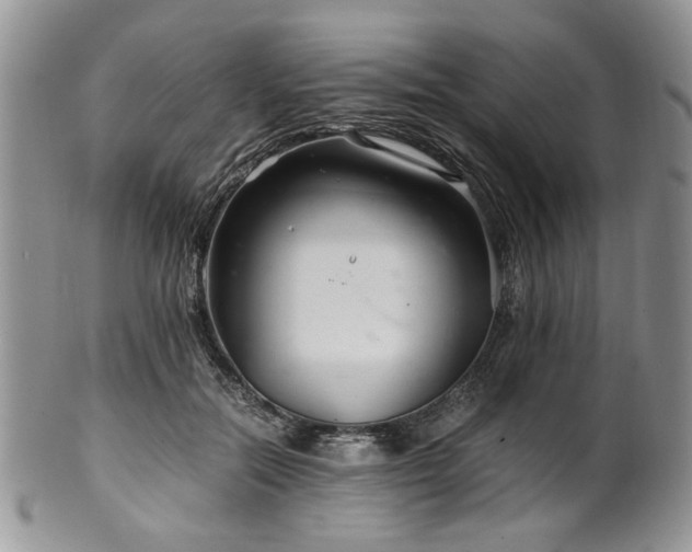 X0000100400554200806131016