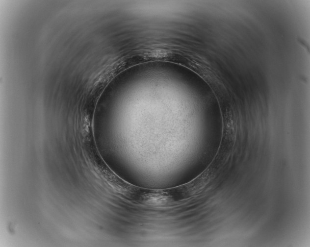 X0000100400555200806131016