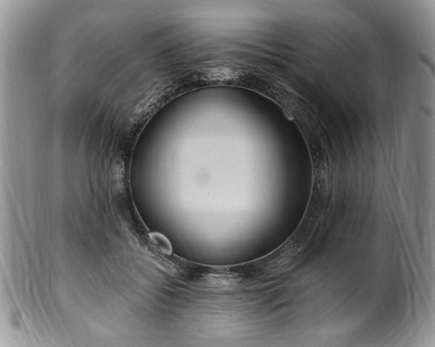 X0000100400556200806131016