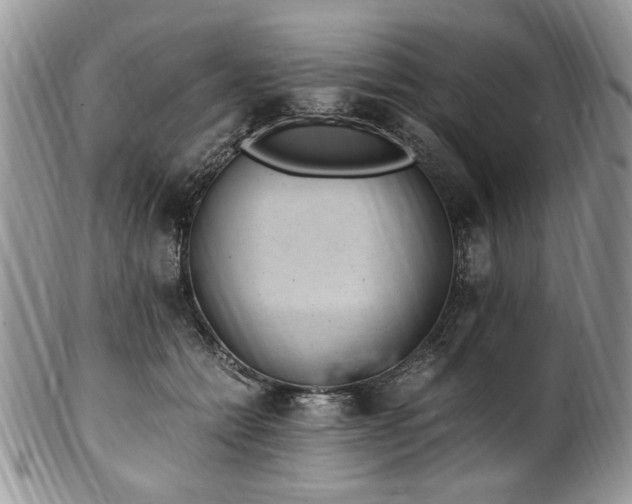 X0000100400558200806131016