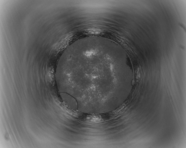 X0000100400559200806131016