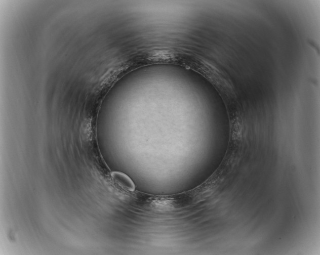 X0000100400560200806131016
