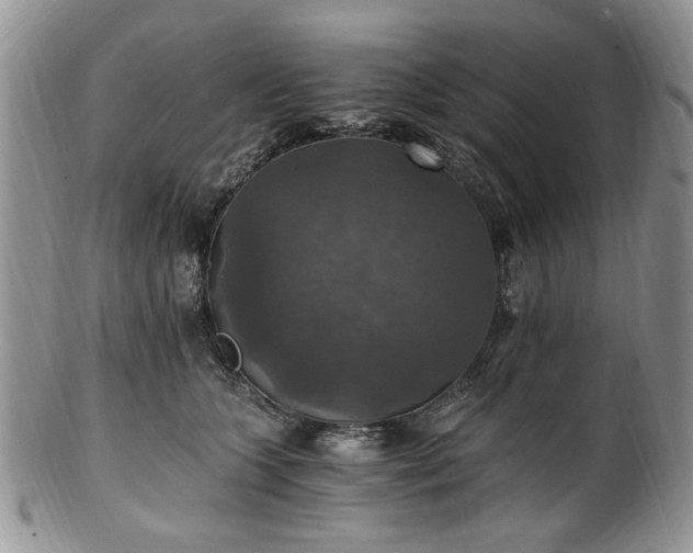 X0000100400563200806131016