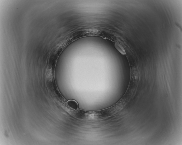 X0000100400564200806131016