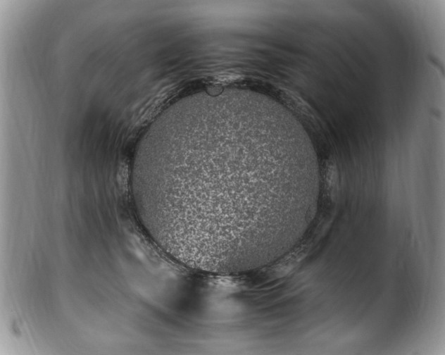 X0000100400565200806131016