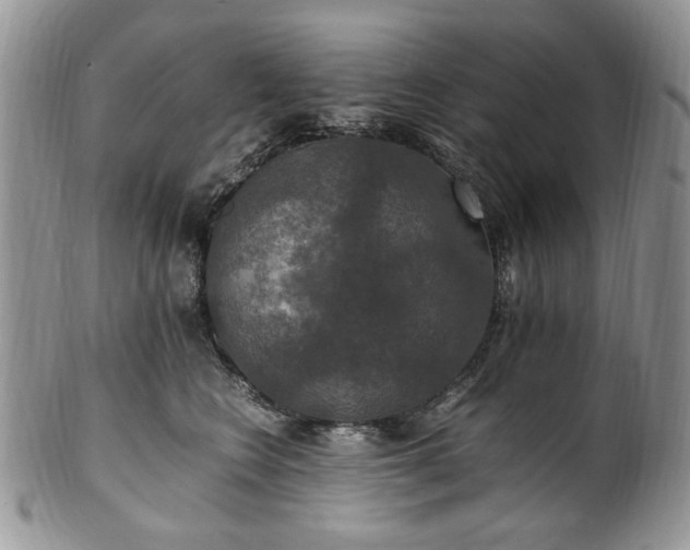 X0000100400566200806131016