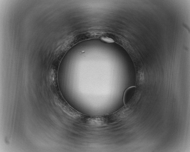 X0000100400567200806131016