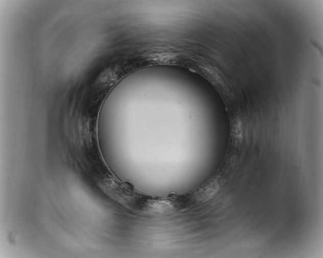 X0000100400572200806131016