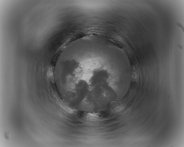 X0000100400573200806131016