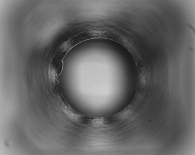 X0000100400574200806131016