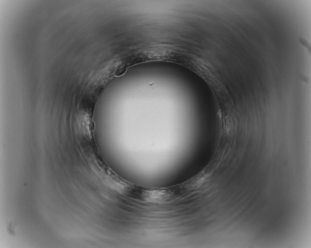 X0000100400575200806131016