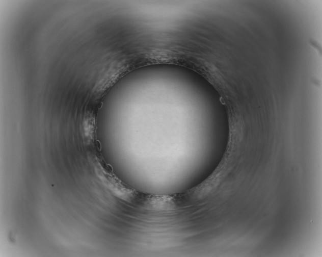 X0000100400576200806131016