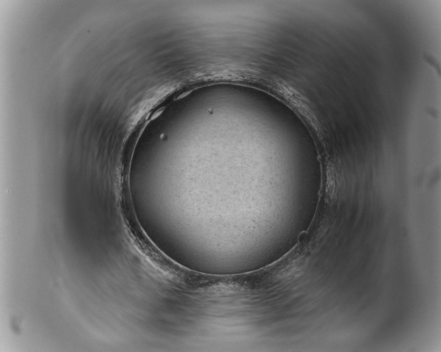 X0000100400578200806131015
