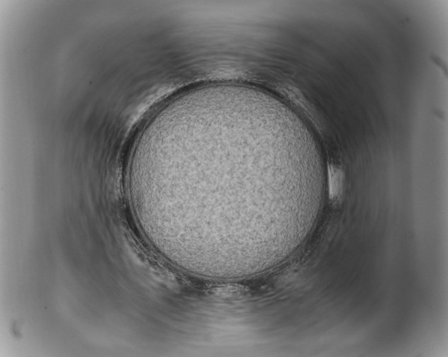 X0000100400579200806131015