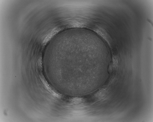 X0000100400581200806131015