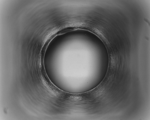 X0000100400582200806131015