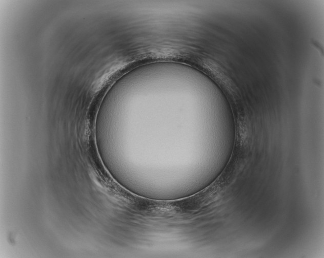 X0000100400583200806131015