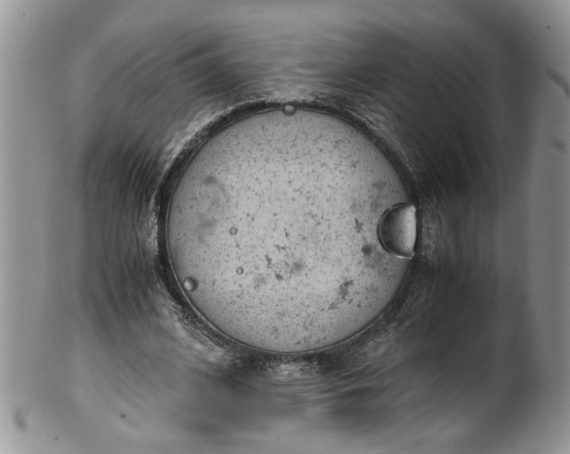 X0000100400584200806131015